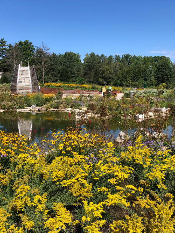 Landscape photo of Penn State's arboretum