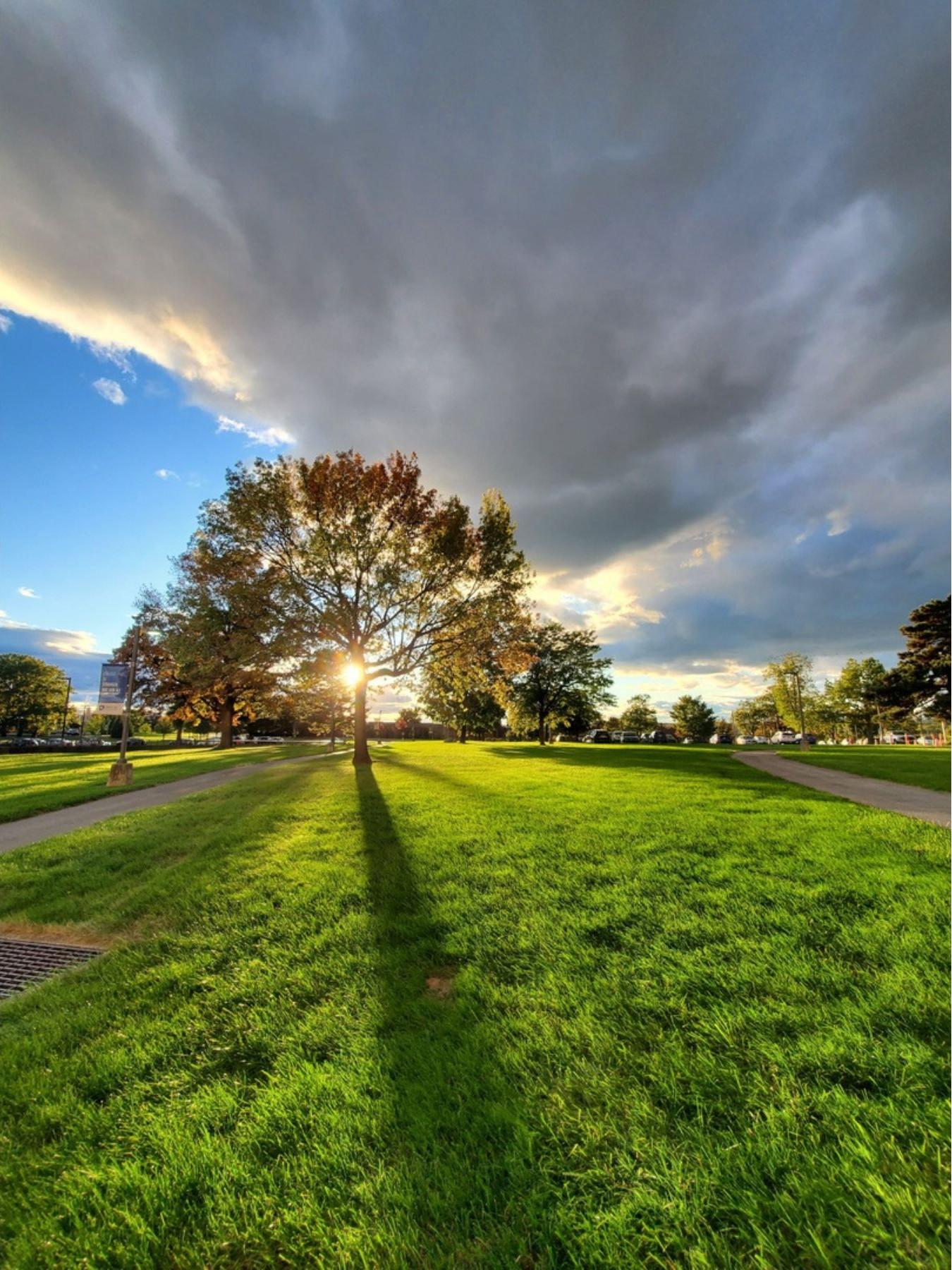 A setting sun shines behind a tree against a cloudy sky