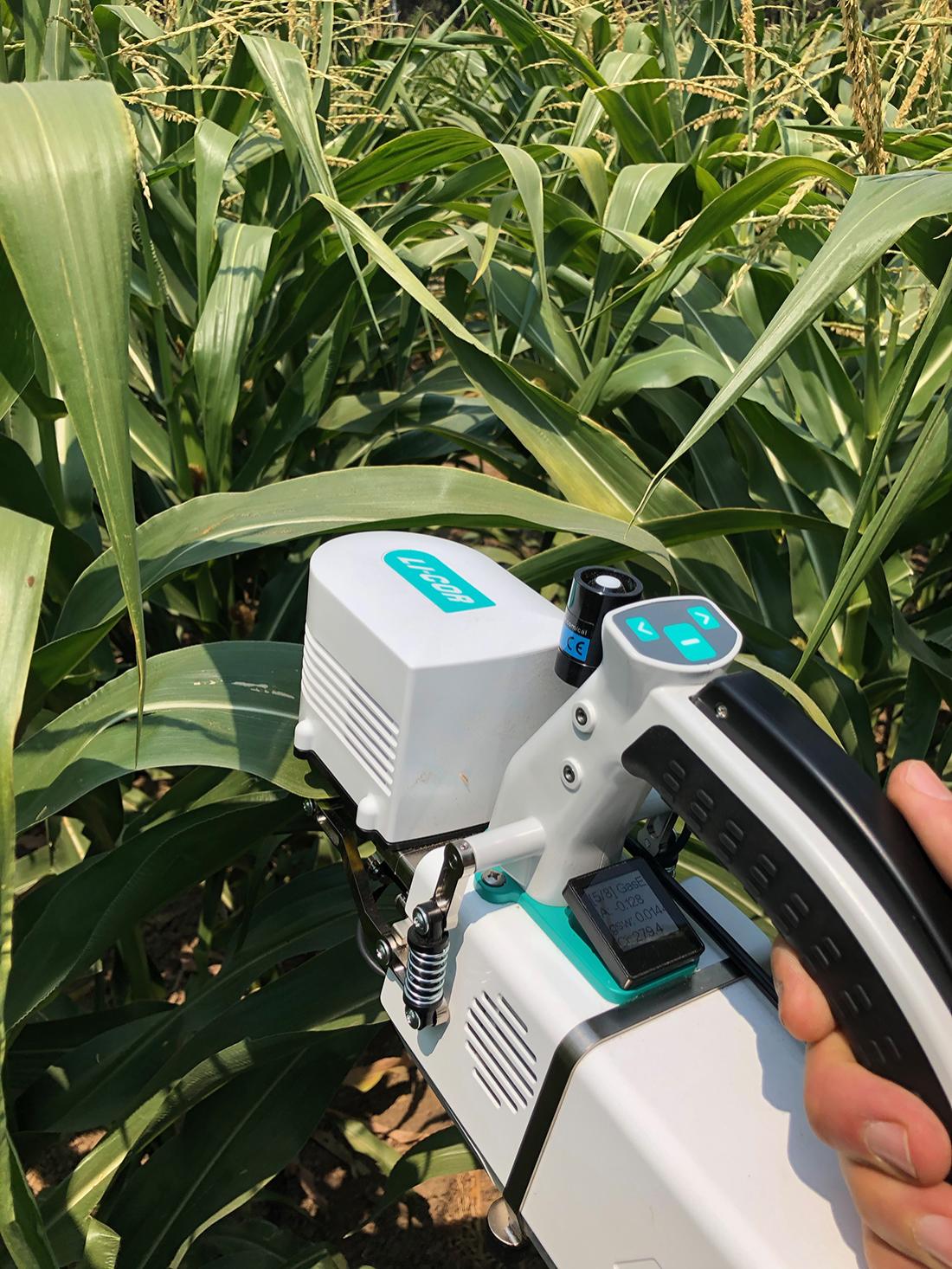 measuring moisture