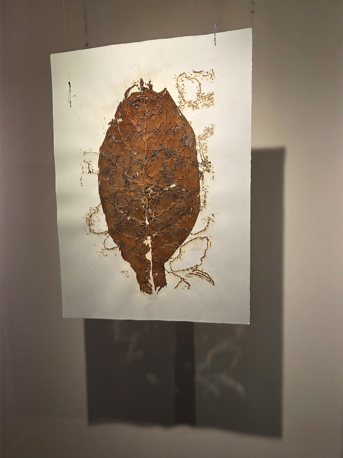 Tabacco leaf on paper