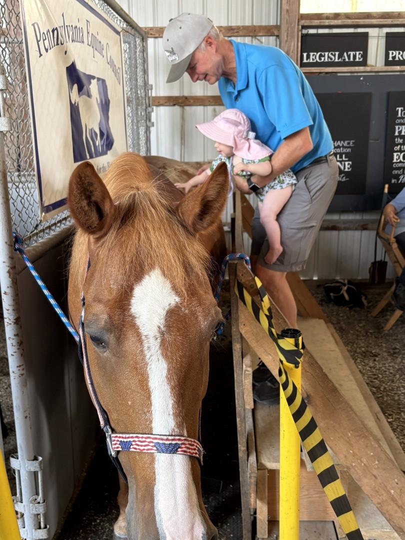 A man holds a baby who is petting a brown horse