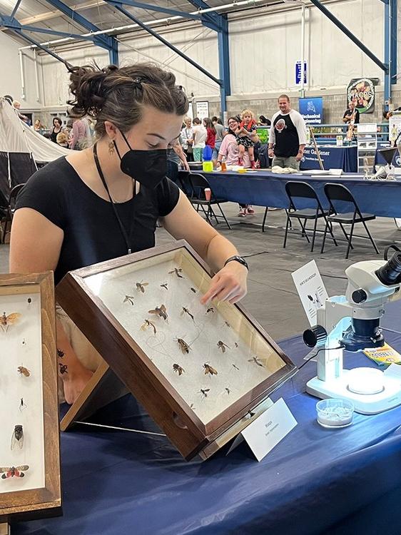 Visitors at the insect fair review various insects.