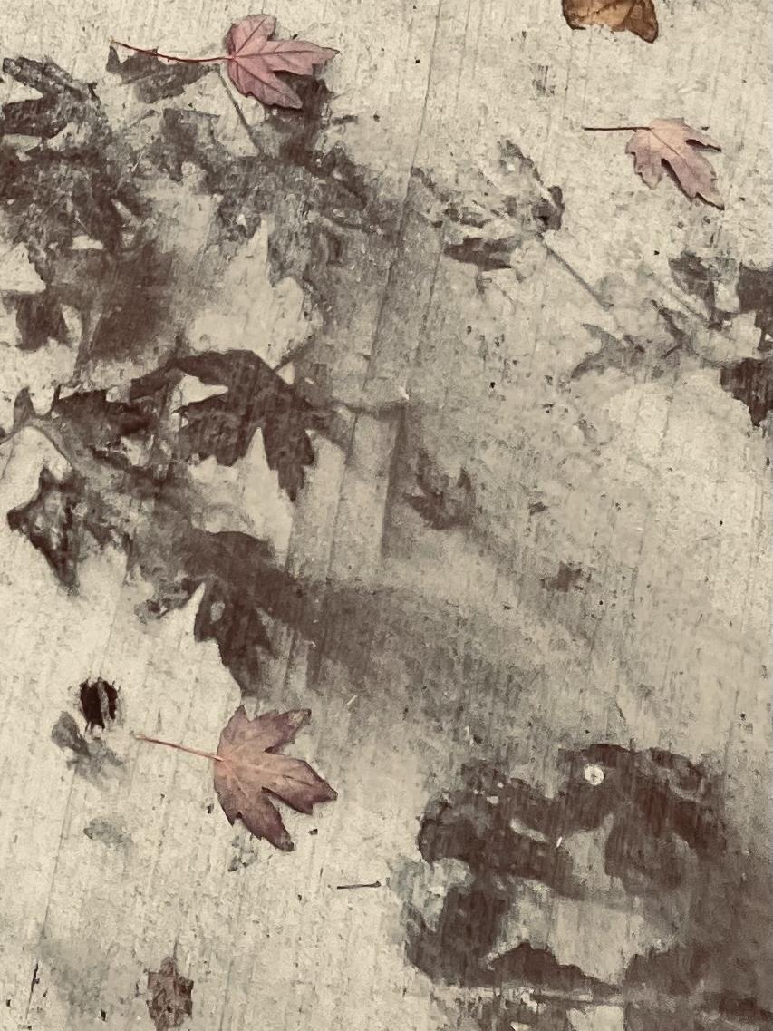 Scattered leaves and dark imprints of leaves on a sidewalk