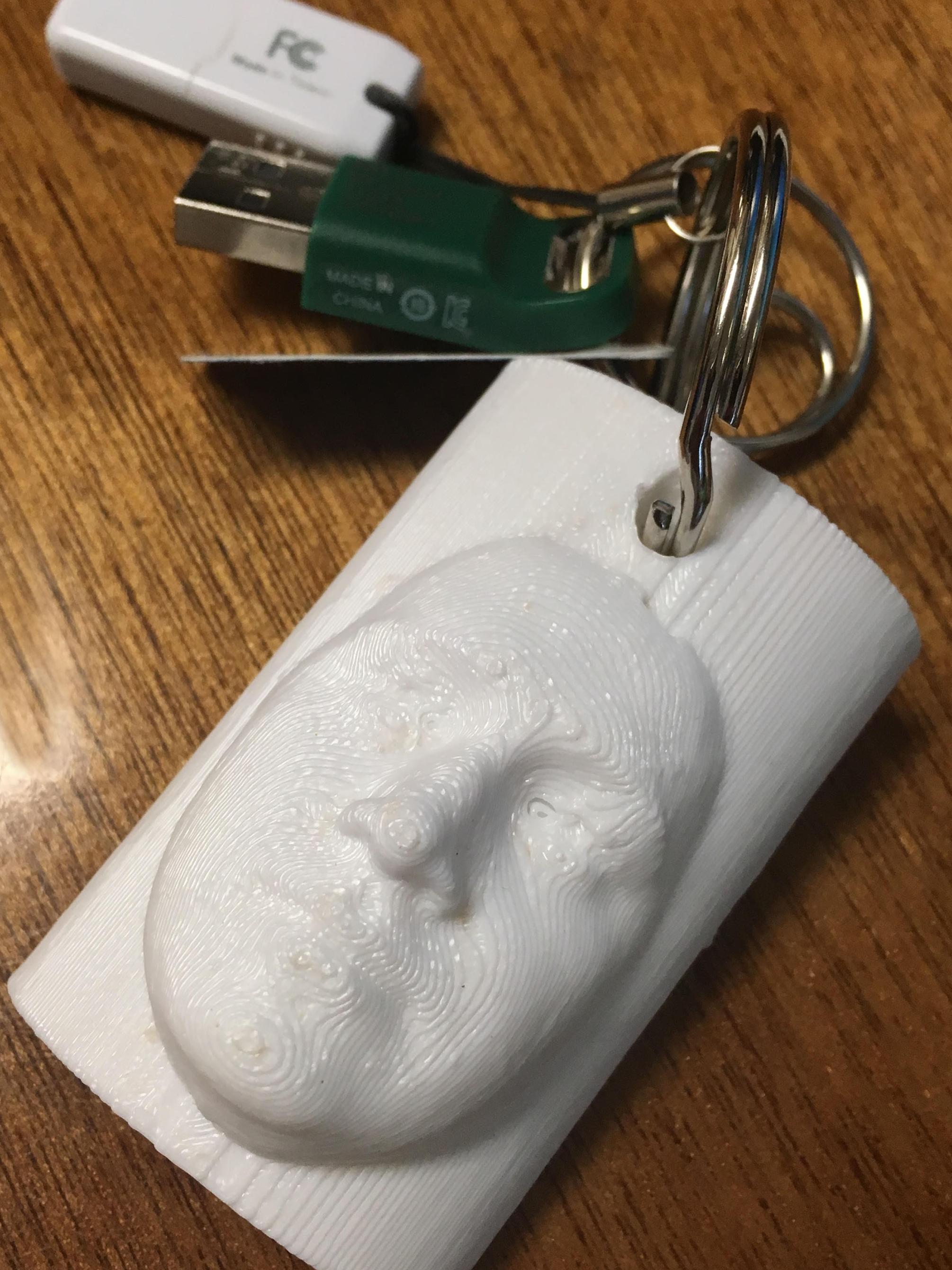 ADAPT4 study participants can create a keychain-sized 3D print of their face for free in Penn State's Maker Commons.