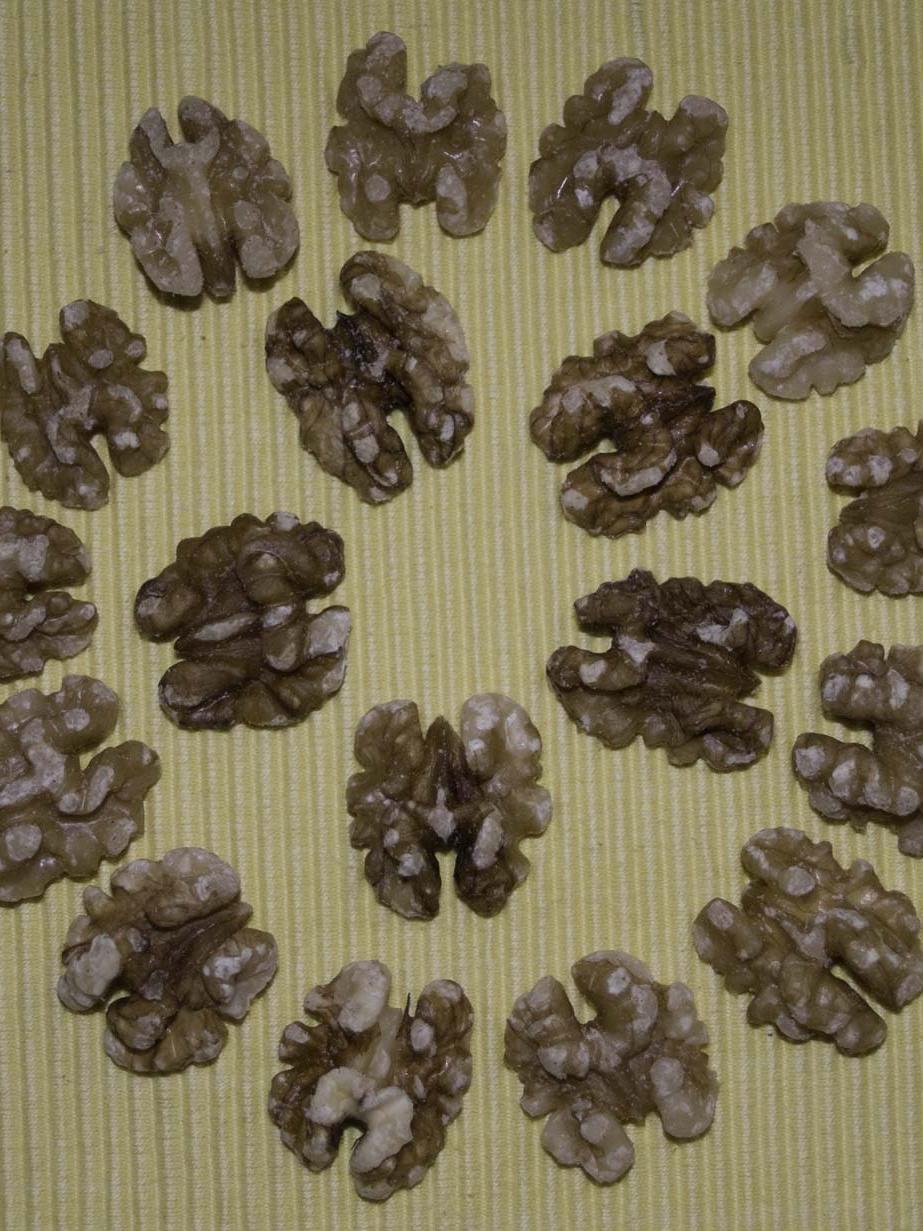 walnut meat in a circle