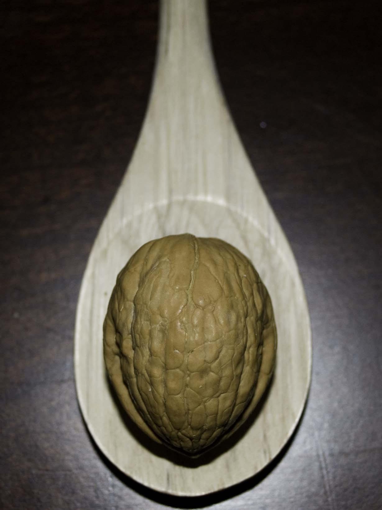 Whole walnut on a wooden spoon