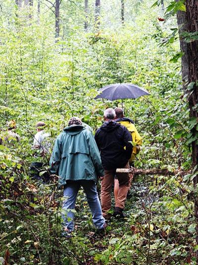 Members of the Cumberland Woodland Owners Association make their way through the forest to the foundation of the 1876 Cold Springs Hotel.