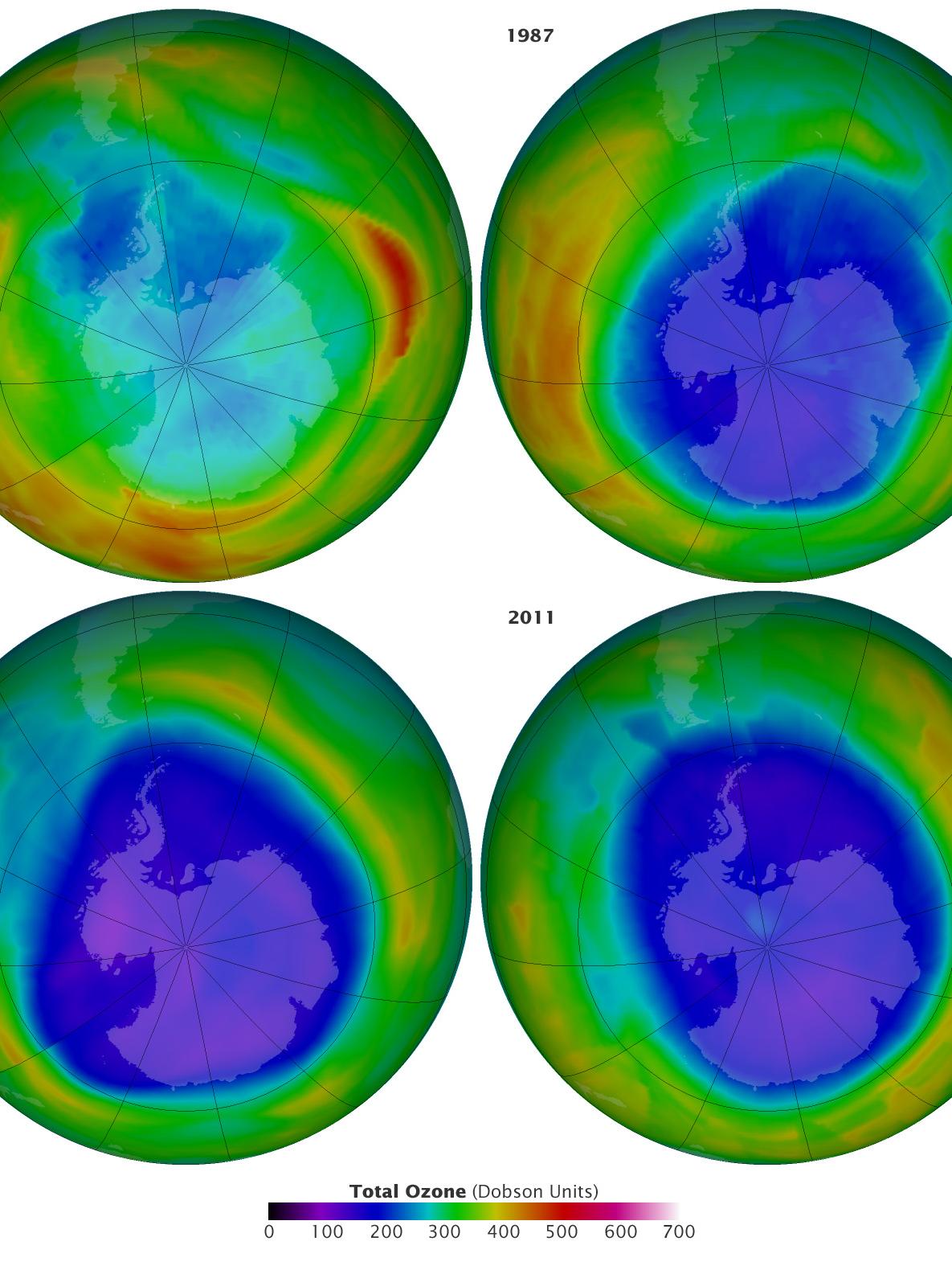 ozone depletion at Antarctic