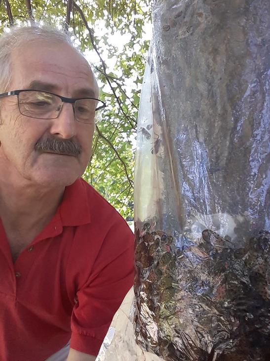 Adrian Smith and tree trap with lanterflies