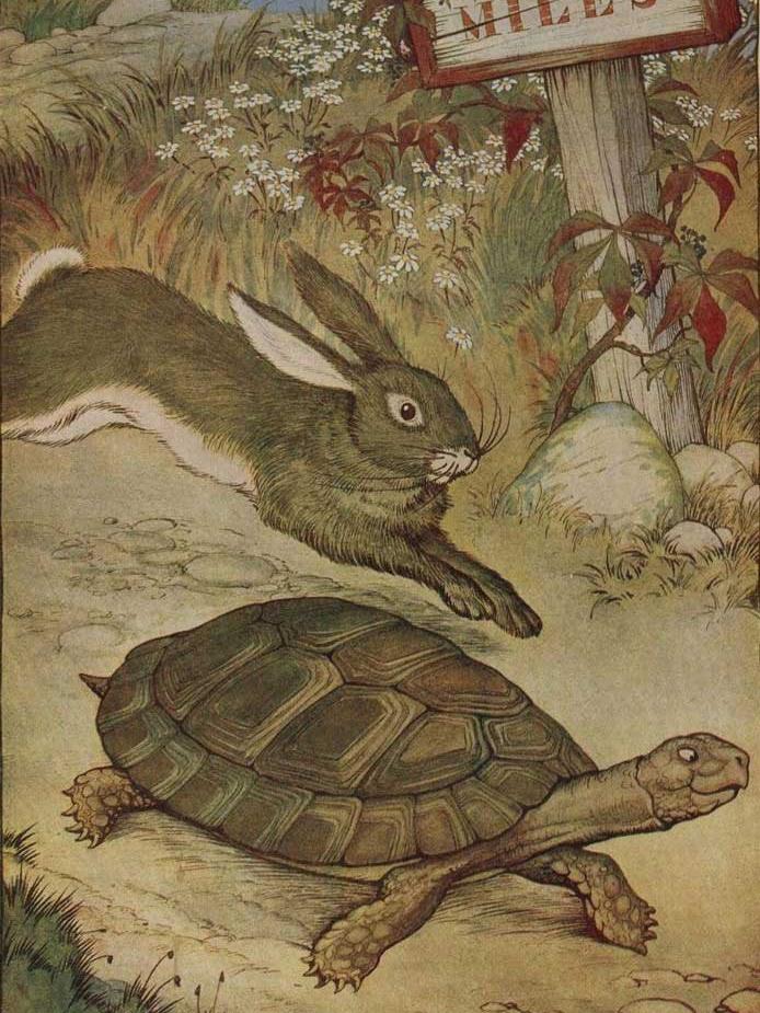 the tortoise and the hare