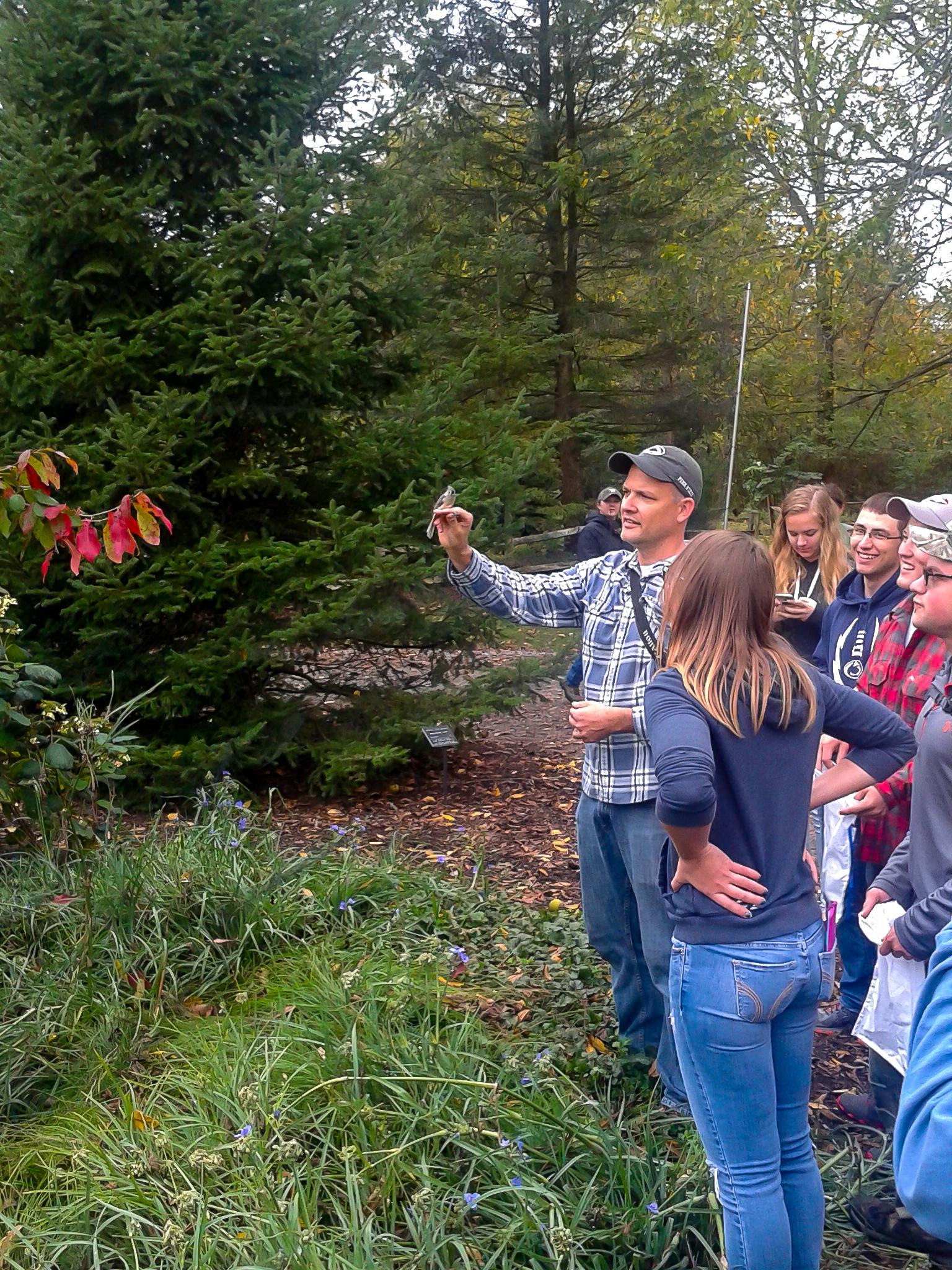 Avery banding birds