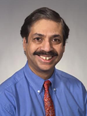 Ayusman Sen, Distinguished Professor of Chemistry