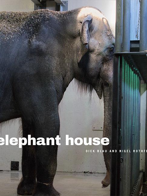 Elephant House