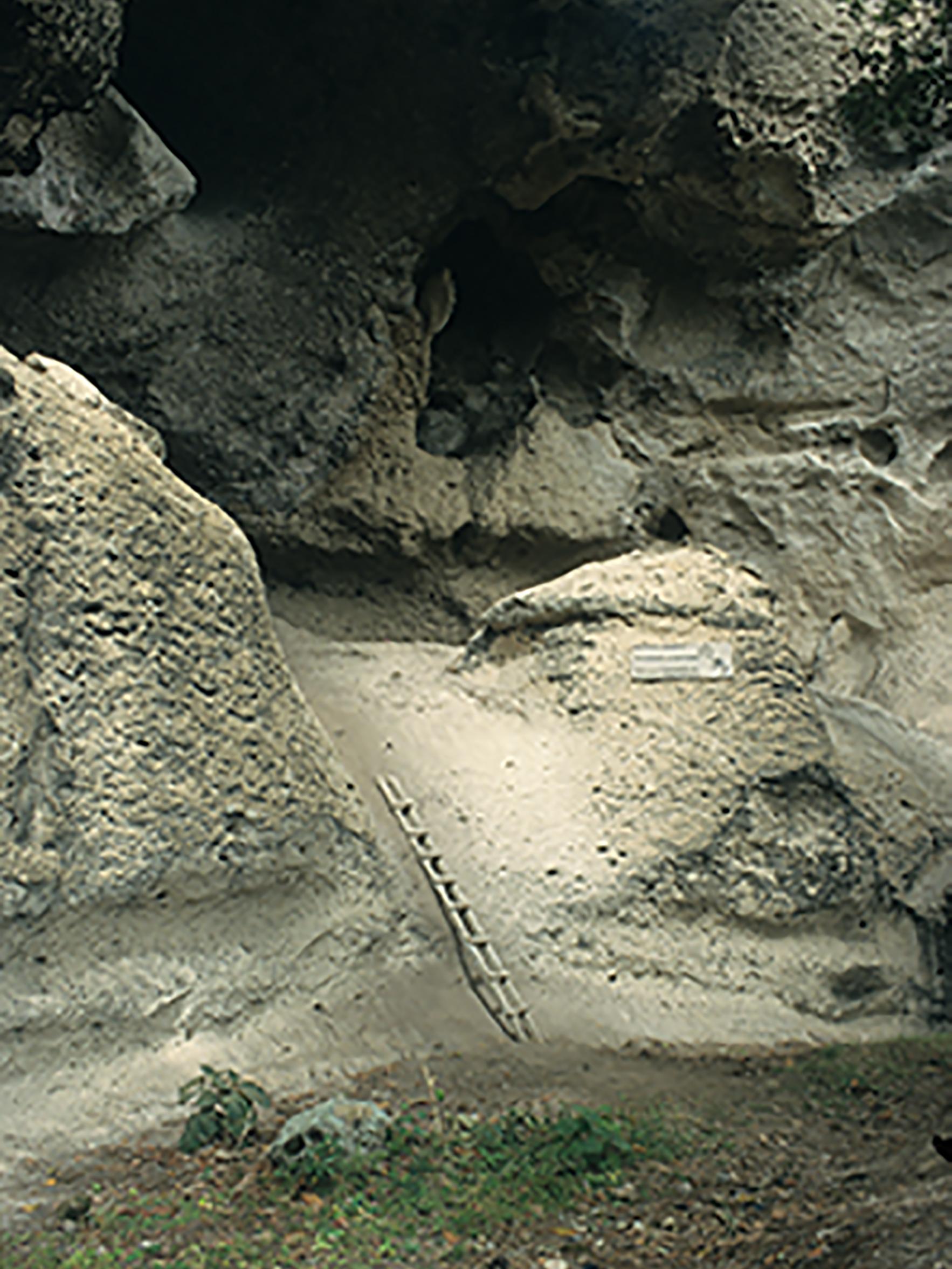 El Gigante rockshelter