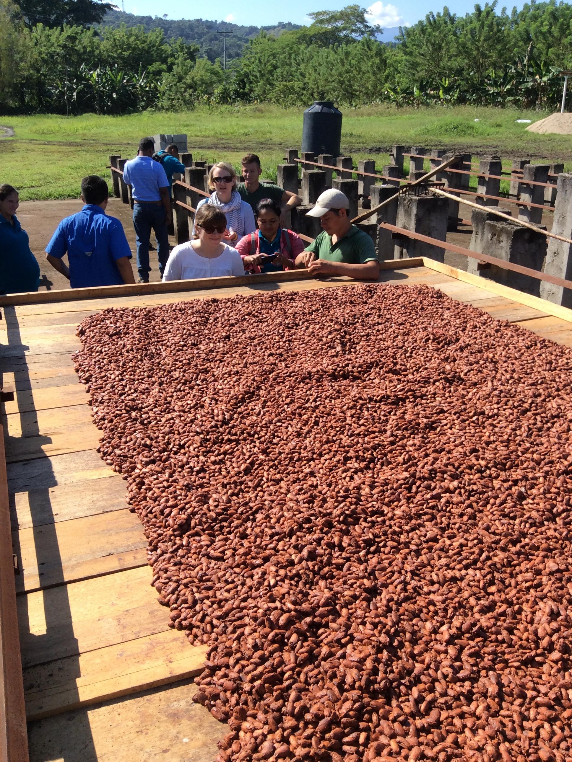 Cocoa