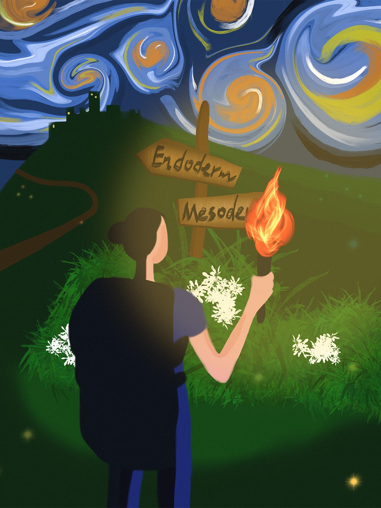 A painting of a woman using the light of a torch to reveal two signs reading "Endoderm" and "Mesoderm". A city is in the background, and swirls of color represent the night sky. 