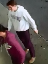 Crime Alert 9-16-17 vehicle theft