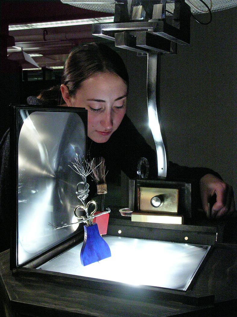 Student research using Lion Surplus materials