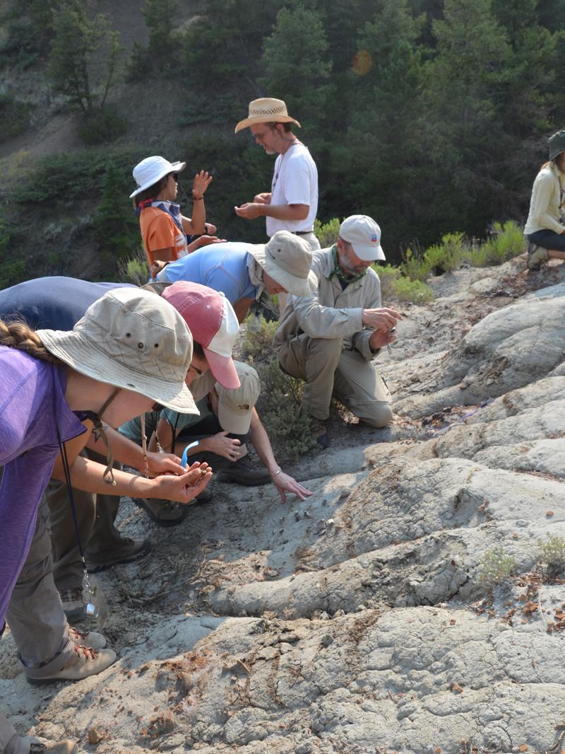 Students in paleobiology field course, 2014