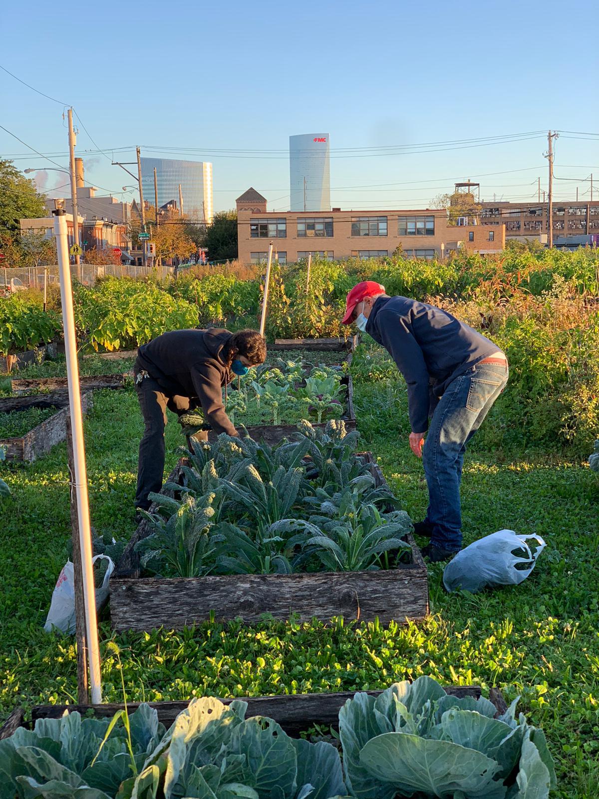 People's Kitchen Garden