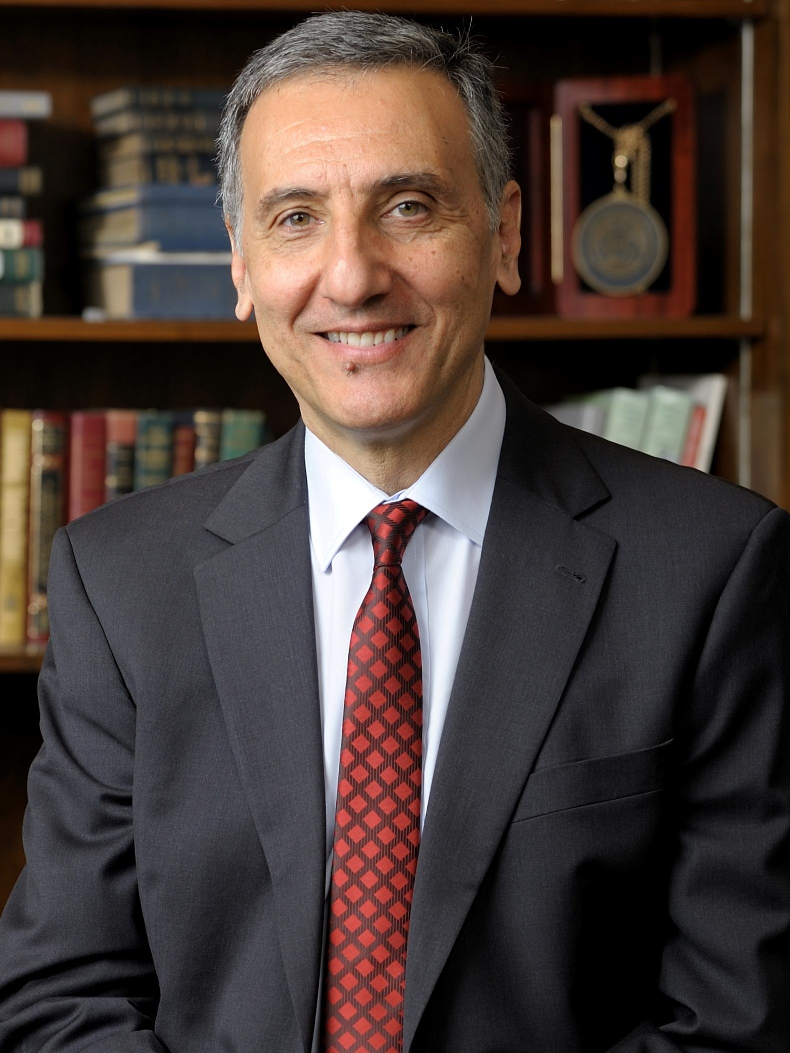 Amr Salah Elnashai