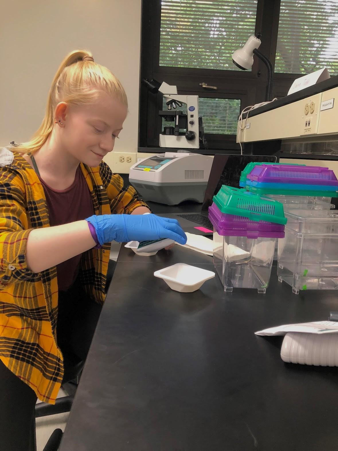 WISER student Elyse Johnson conducts research in the Shea Laboratory. 