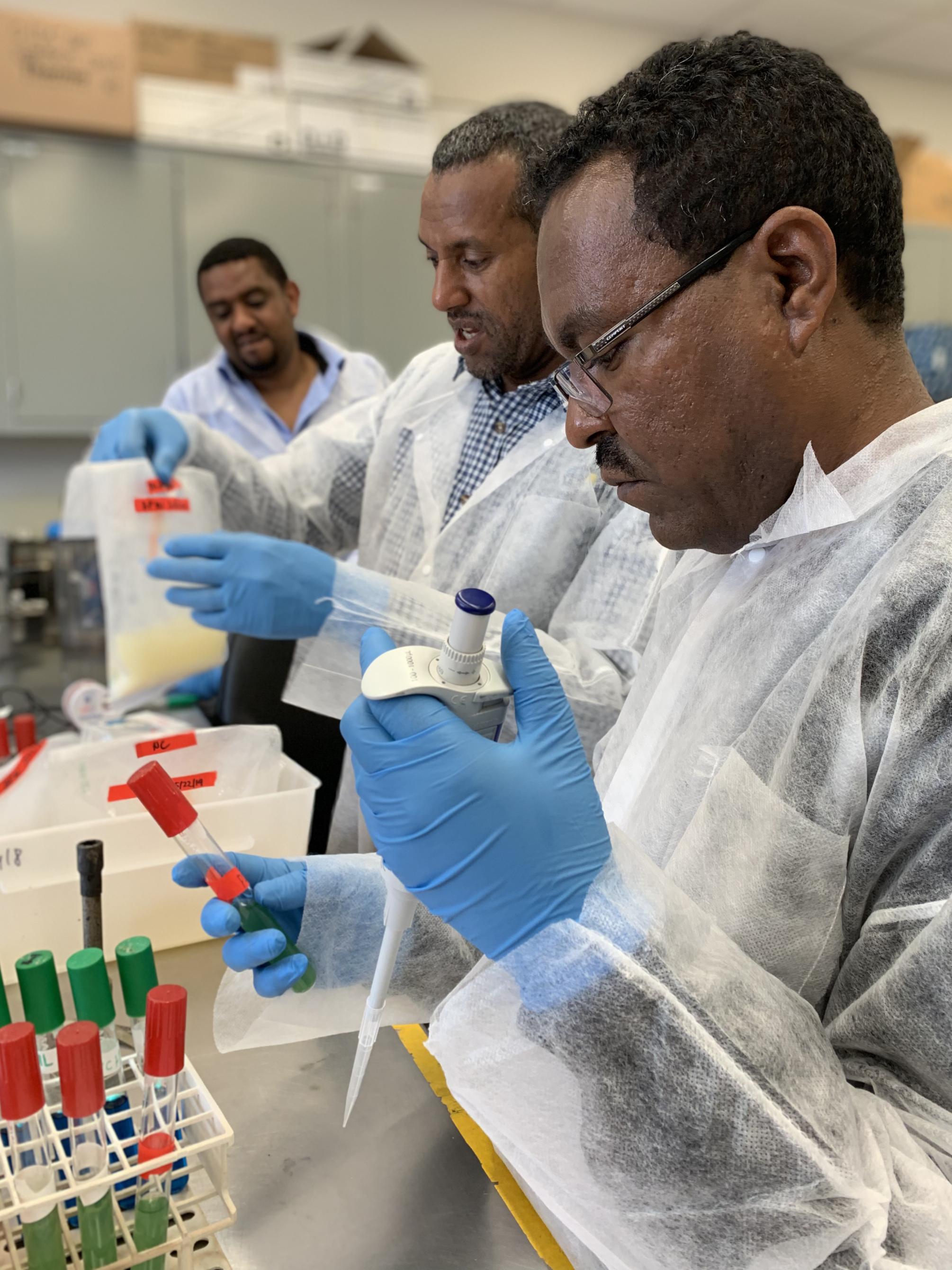 Ethiopians in the lab