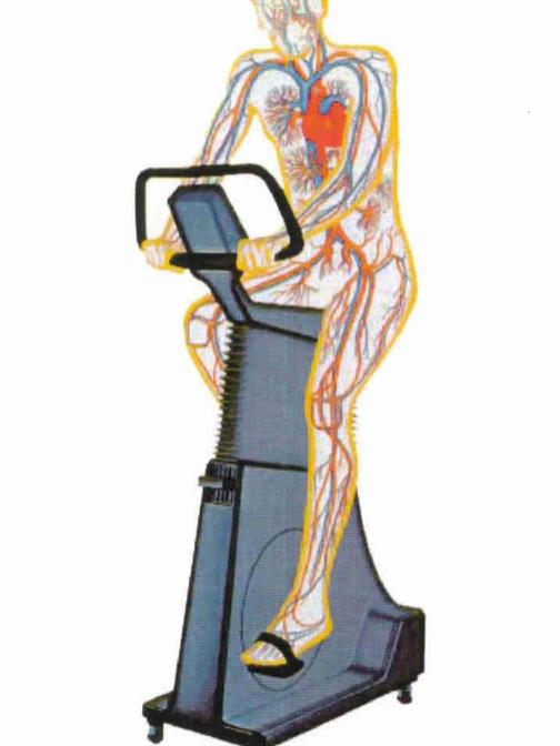 exercise on stationary bike