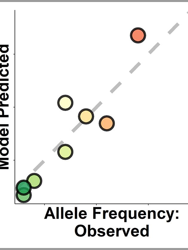Line graph shows how closely the predicted results match the observed results
