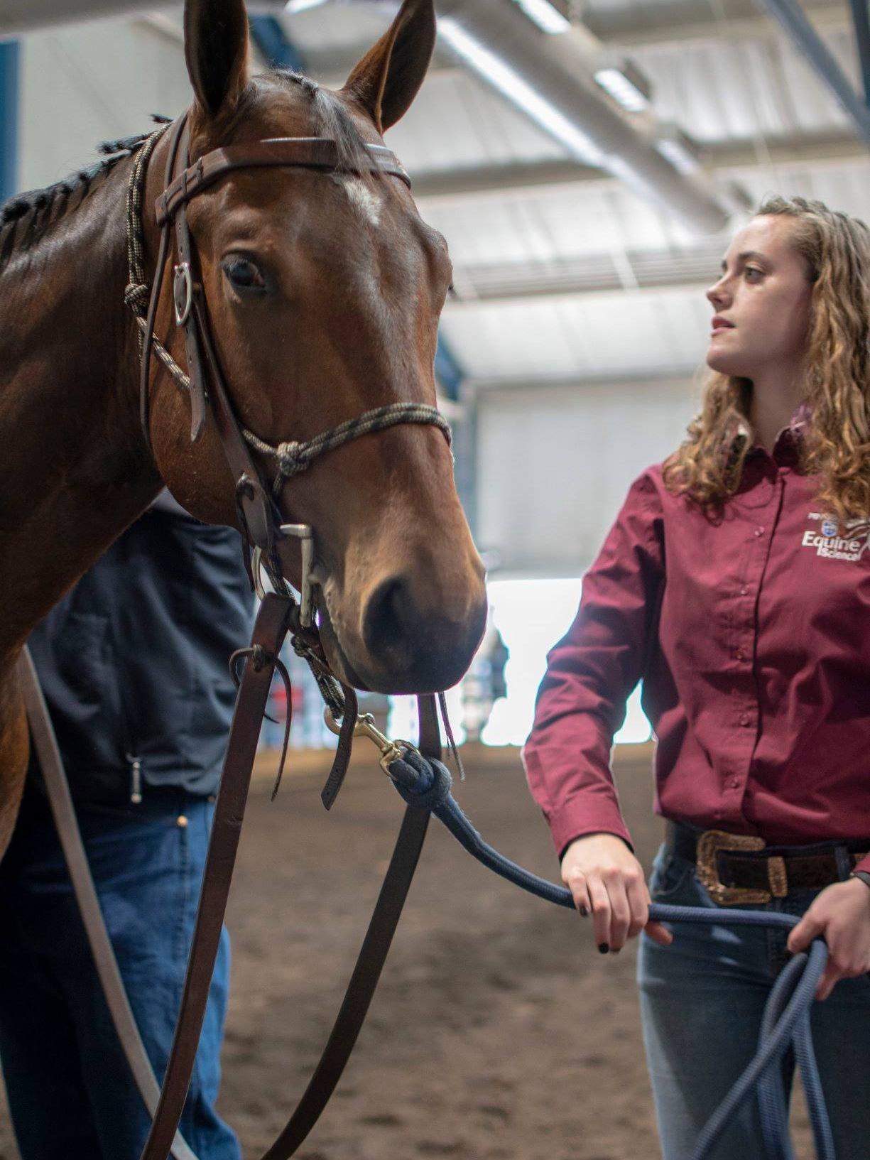 Penn State horse sale Meyer