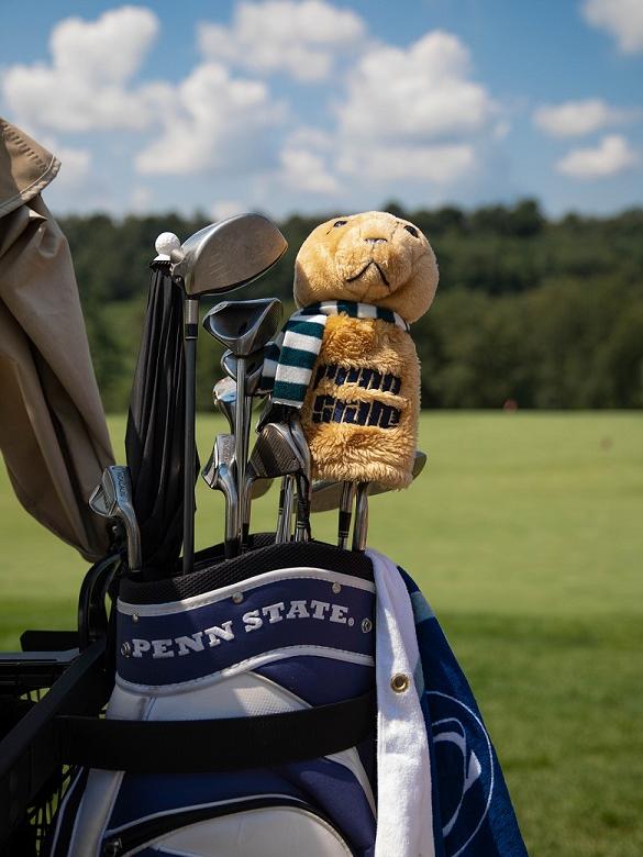 Golf bag with golf clubs