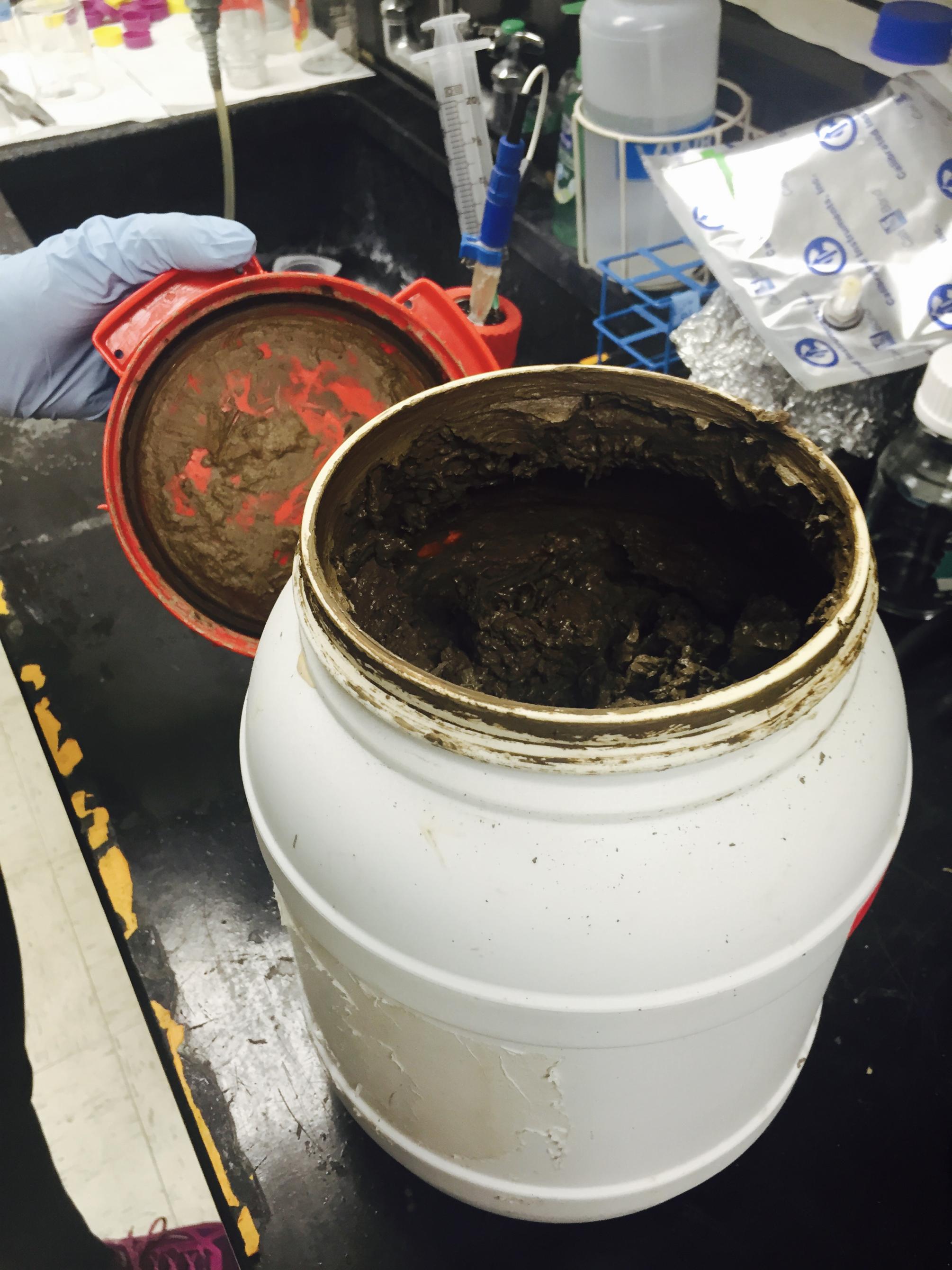 Sample soil from French Guiana.