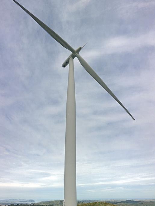 Students tour a wind farm in New Zealand during a recent study abroad trip that focused on the island nation's renewable energy practices.