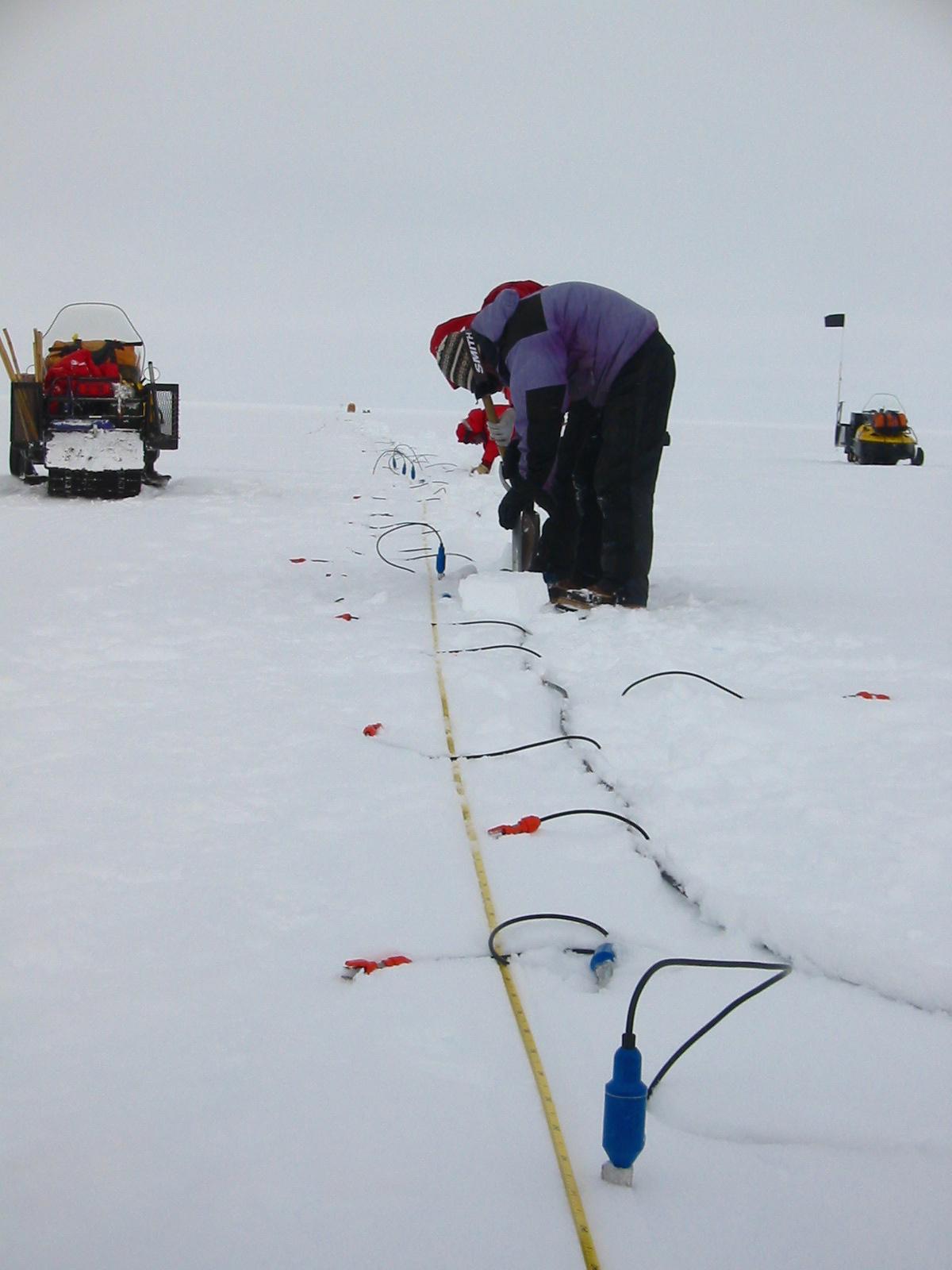 laying out seismic sensors 