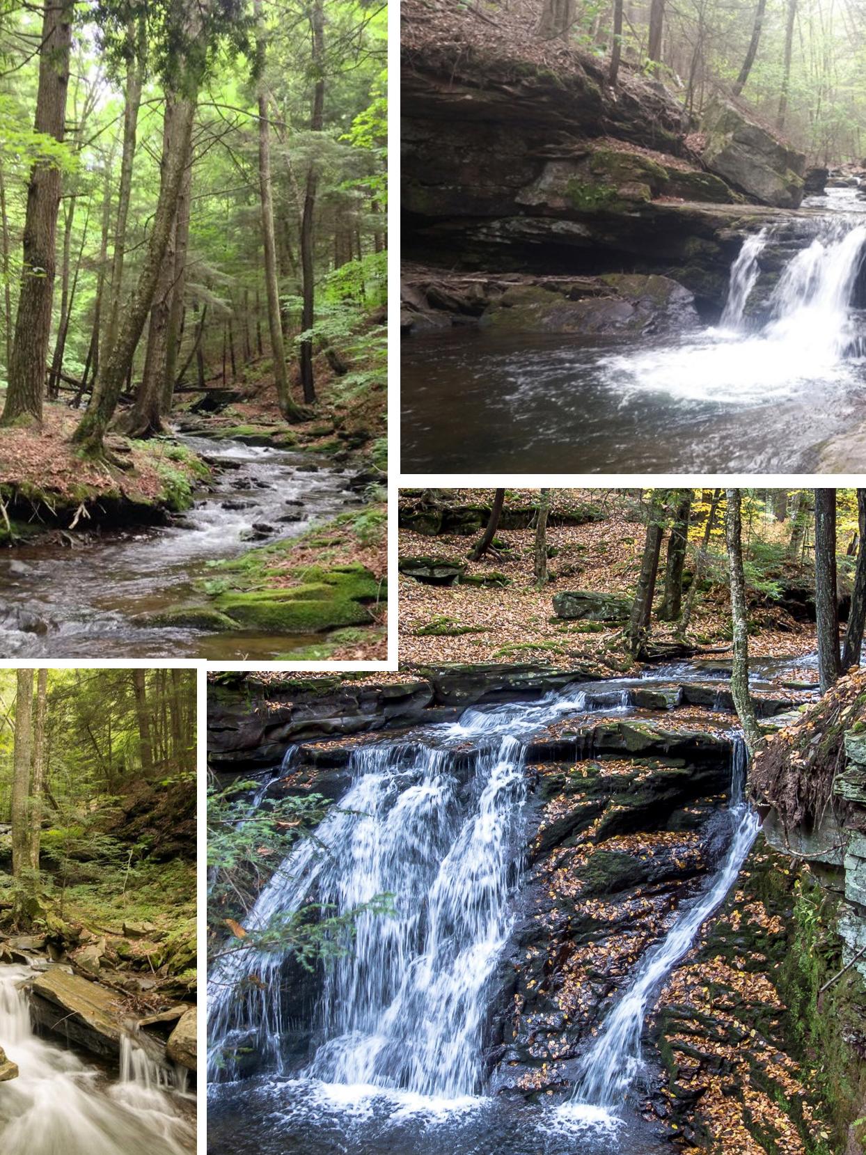 streams, barrier