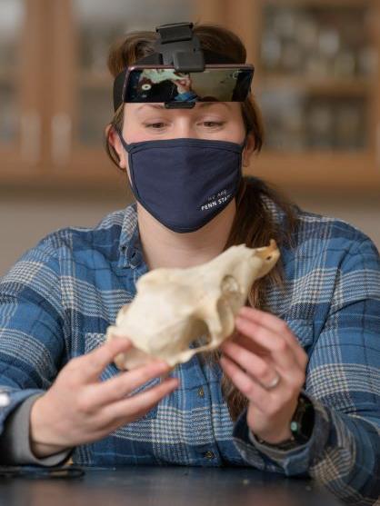 Penn State Behrend faculty member Lynne Beaty holds an animal skull.