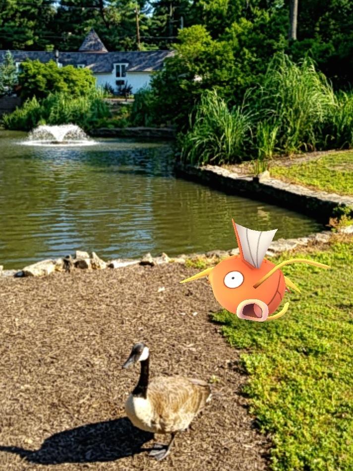 Pokemon GO 