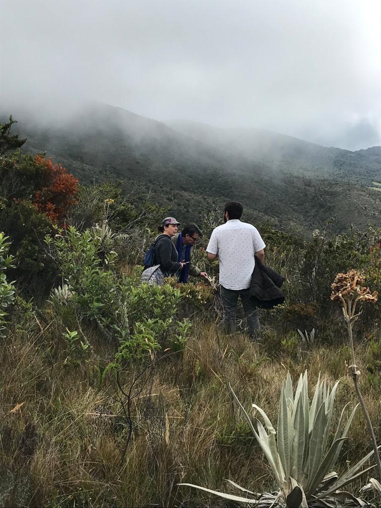 Researchers working in Chingaza National Natural Park, Colombia