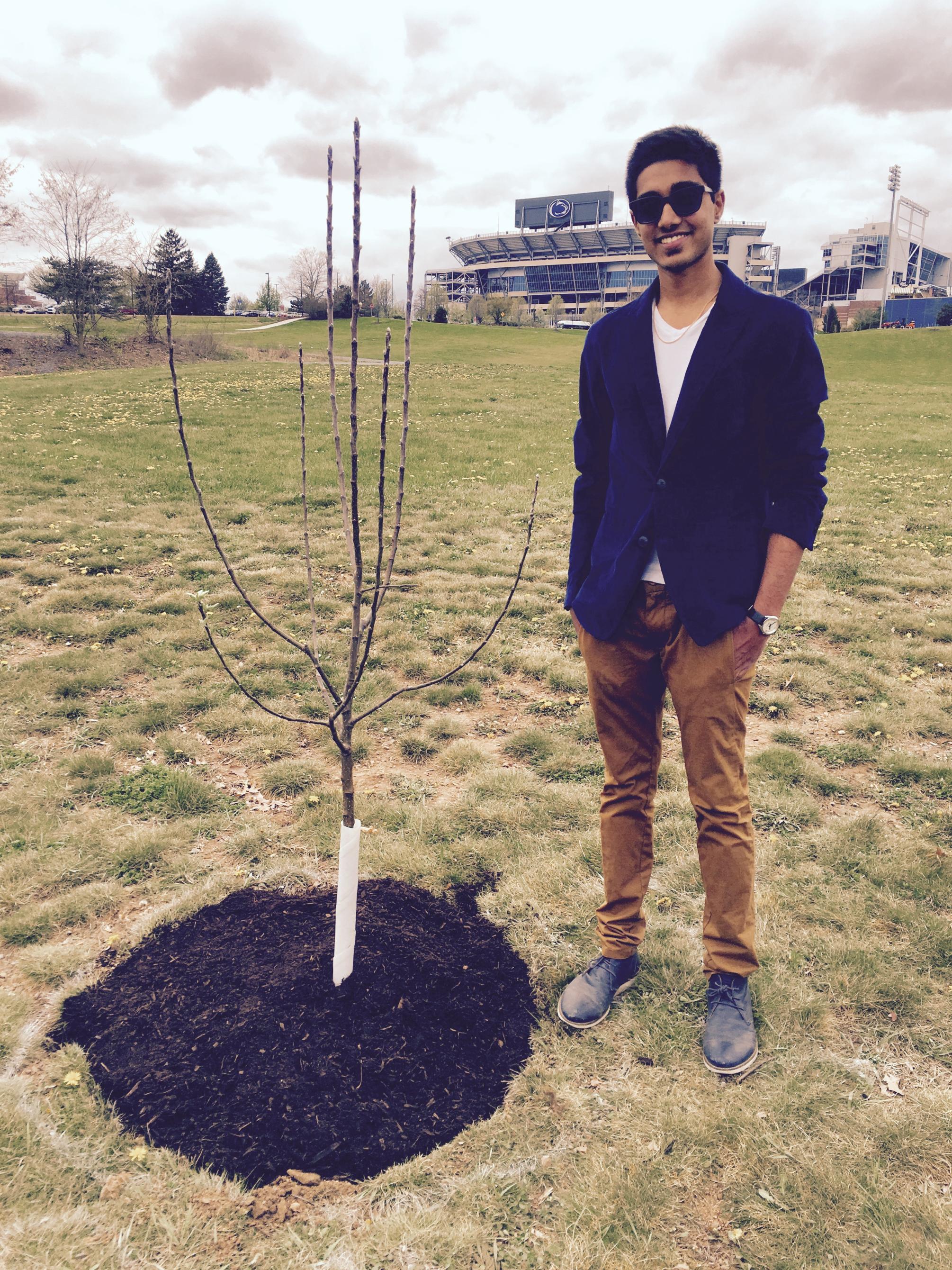 Nikhil Bharadwaj planted an apple tree
