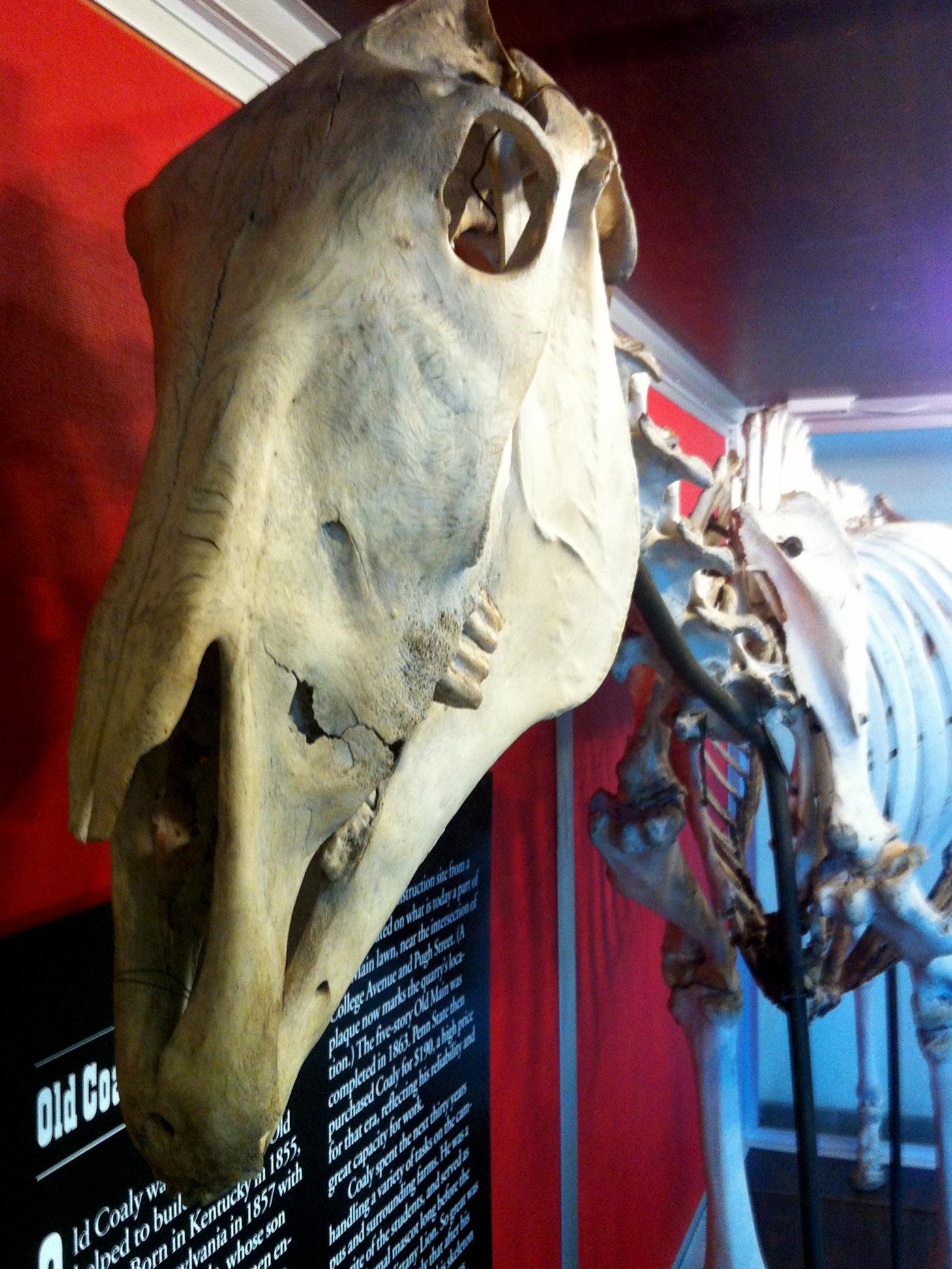 Penn State's Old Coaly on display in the HUB