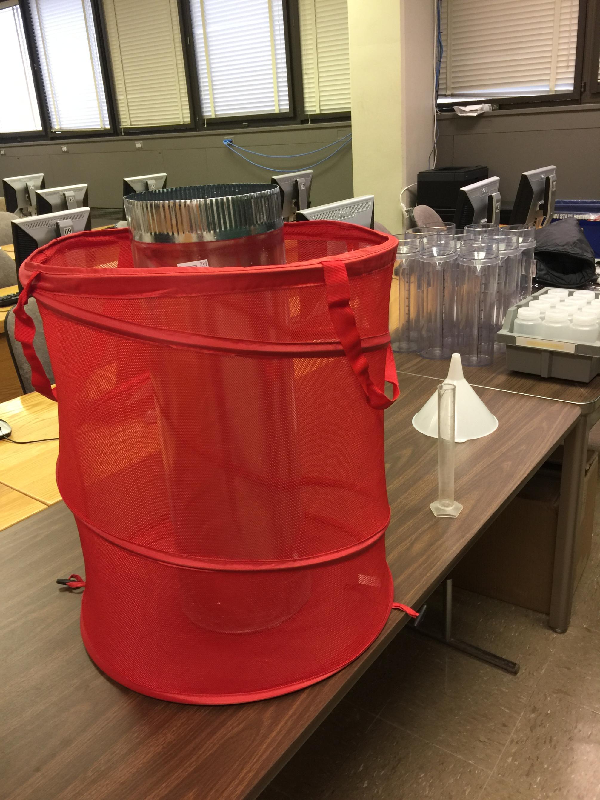 Paige Campbell's rain gauge
