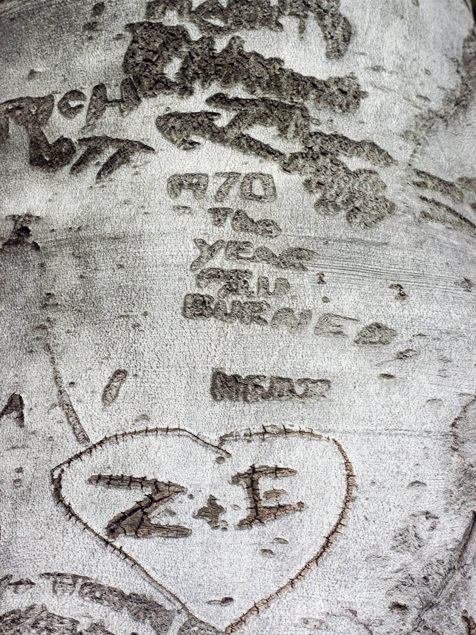 Penn Stater magazine love stories photo 