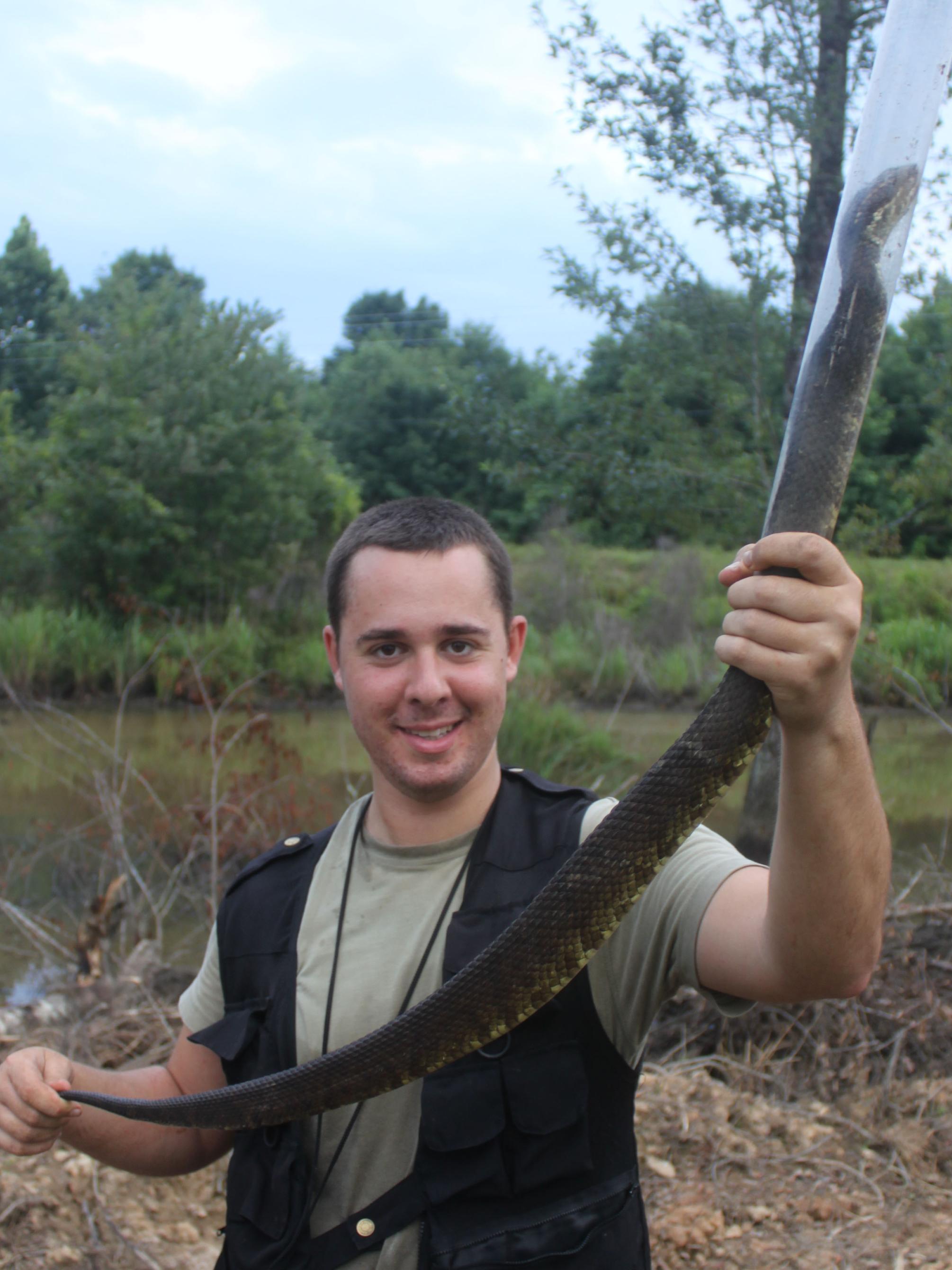 snake
