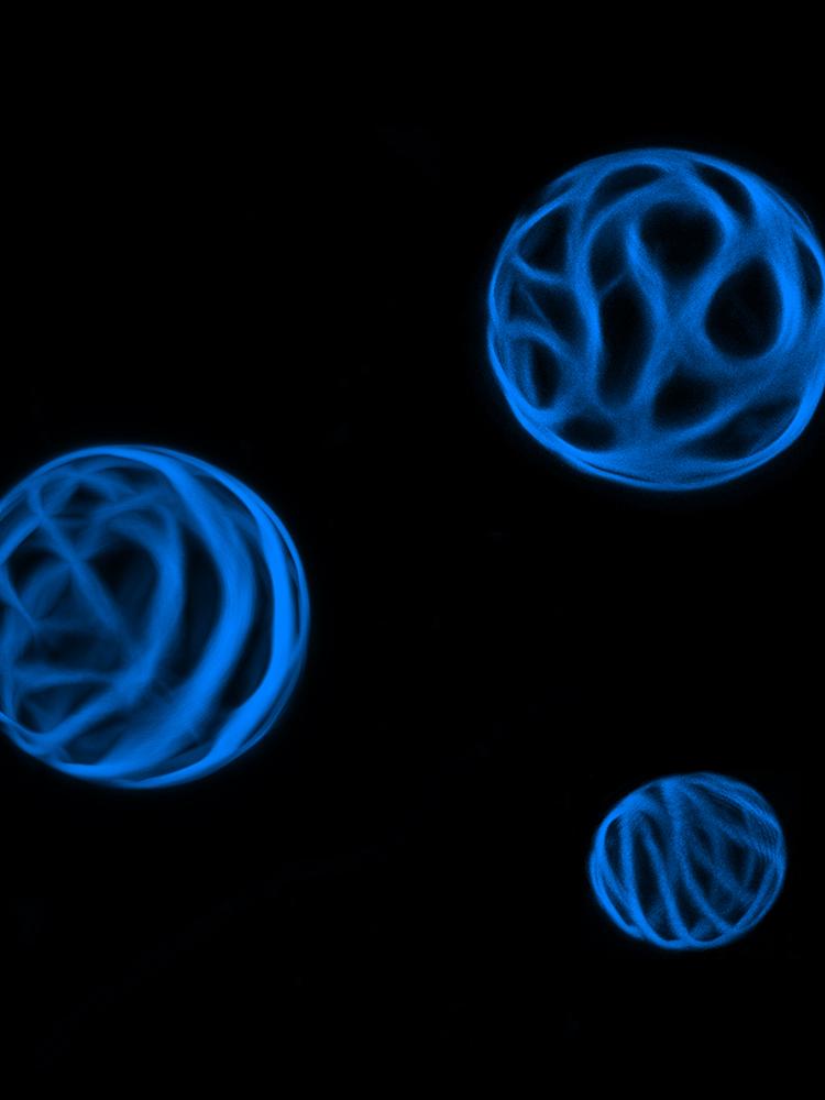 cells look like floating orbs
