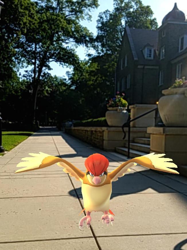 Pokemon GO 
