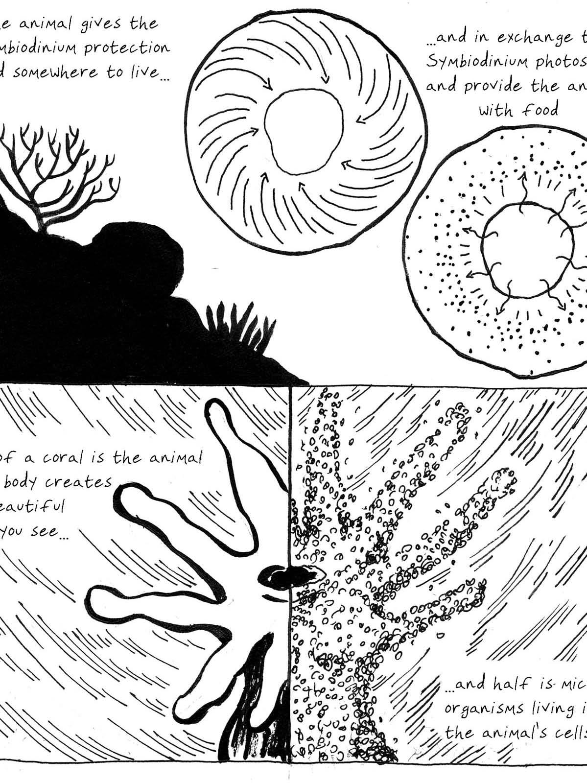 coral reef cartoon