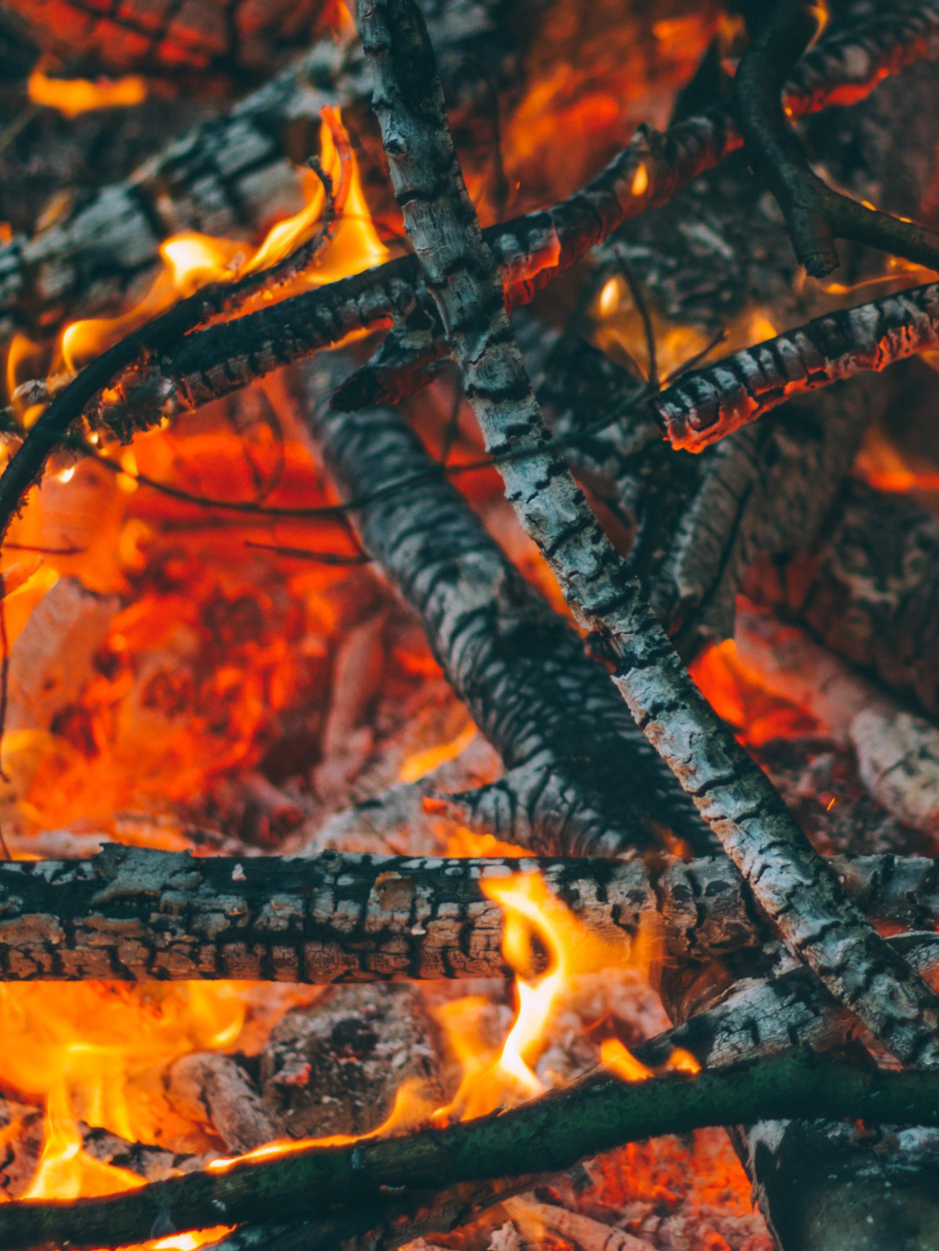 cook fire