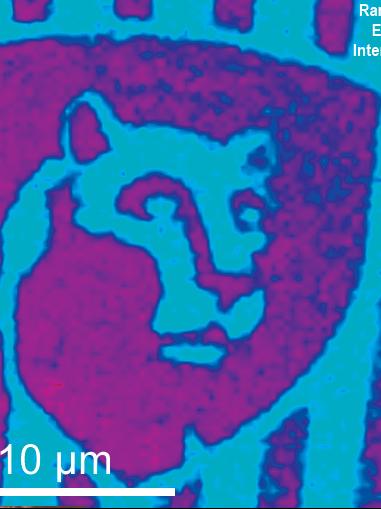 Raman image of the Nittany Lion