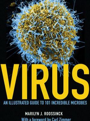 Roossinck virus book cover