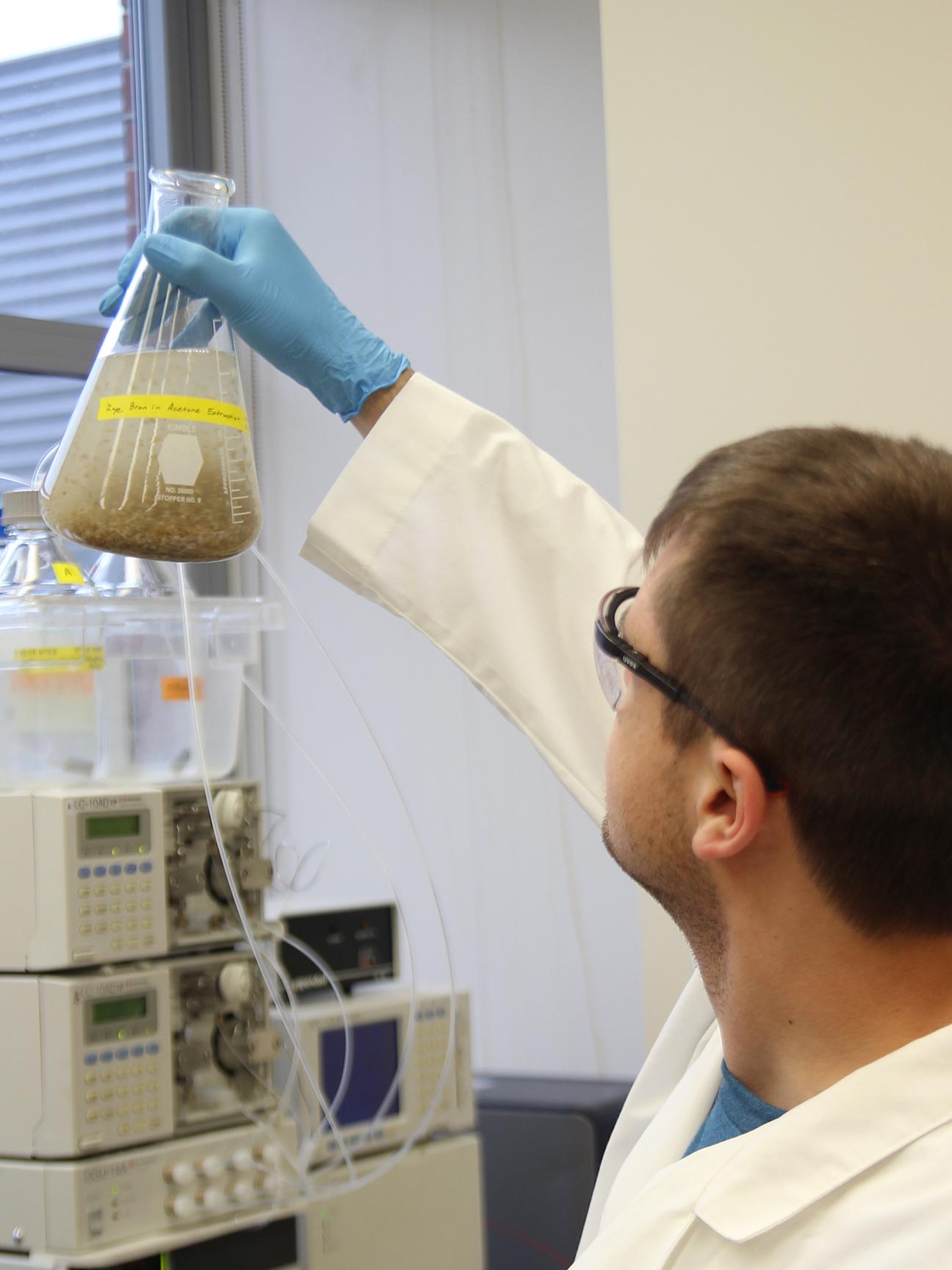 alkylresorcinol extraction